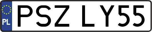 PSZLY55