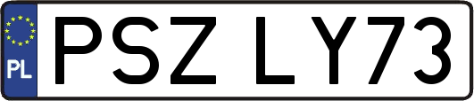 PSZLY73