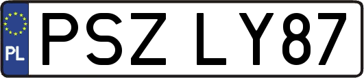 PSZLY87