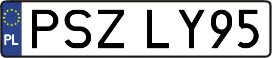 PSZLY95