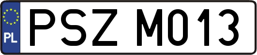 PSZM013