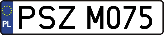 PSZM075