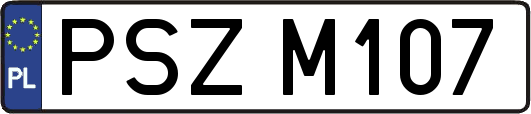 PSZM107