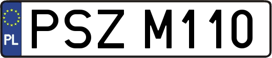 PSZM110
