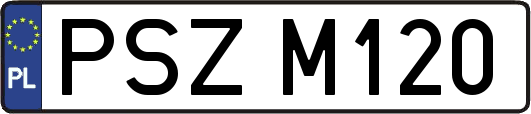 PSZM120