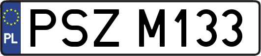 PSZM133