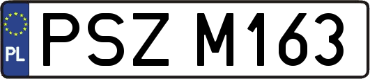 PSZM163