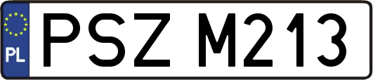 PSZM213