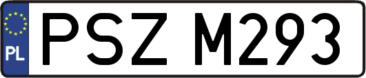 PSZM293
