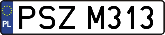 PSZM313