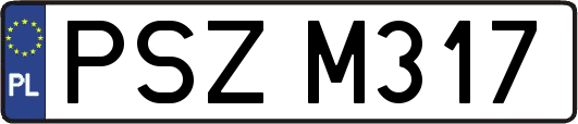PSZM317