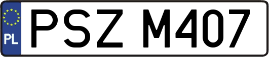 PSZM407