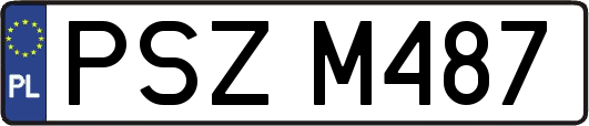 PSZM487