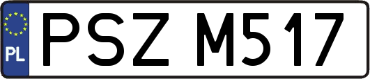 PSZM517