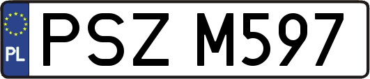 PSZM597