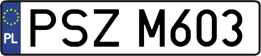 PSZM603