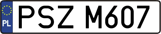 PSZM607