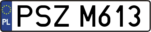 PSZM613