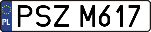 PSZM617