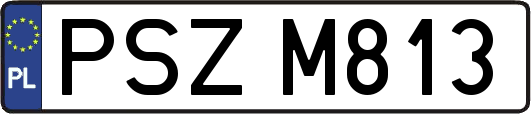 PSZM813