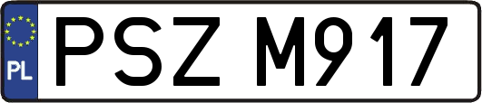 PSZM917