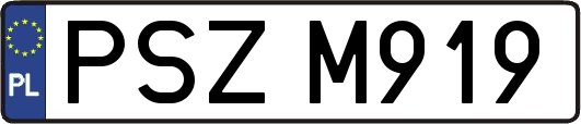 PSZM919