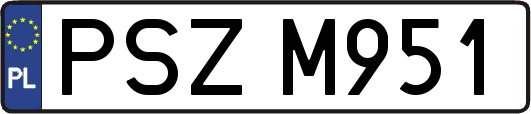 PSZM951