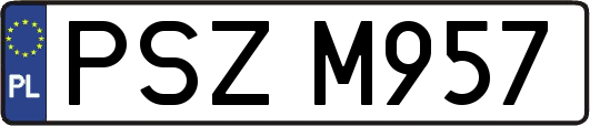 PSZM957