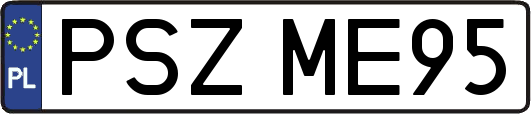 PSZME95