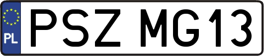 PSZMG13
