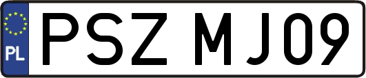 PSZMJ09