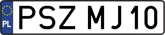 PSZMJ10