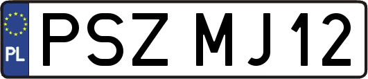 PSZMJ12