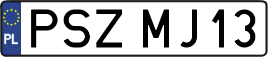 PSZMJ13
