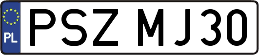 PSZMJ30