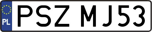 PSZMJ53