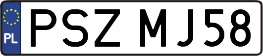 PSZMJ58