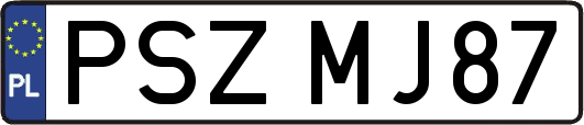 PSZMJ87