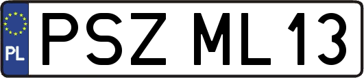 PSZML13
