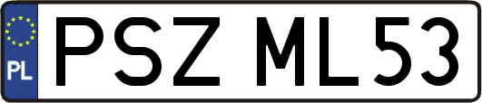 PSZML53