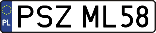 PSZML58