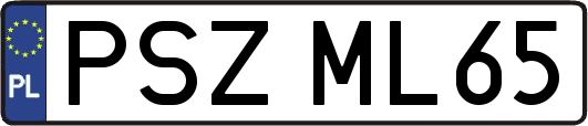 PSZML65