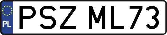 PSZML73