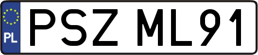 PSZML91