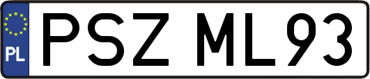 PSZML93