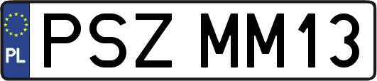 PSZMM13