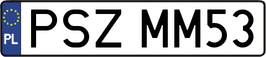PSZMM53