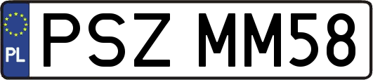 PSZMM58