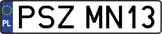 PSZMN13