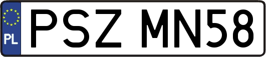 PSZMN58